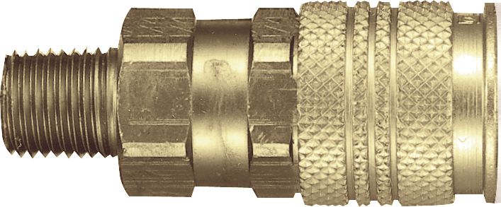 DV_ZoomOriginal_I_97322.jpg