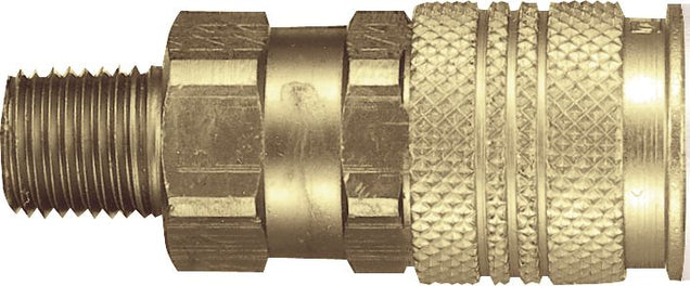 DV_ZoomOriginal_I_97322.jpg