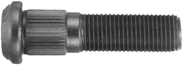 DV_ZoomOriginal_I_99706.jpg