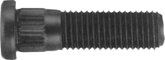 DV_ZoomOriginal_I_99732.jpg