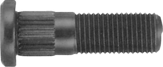 DV_ZoomOriginal_I_99738.jpg