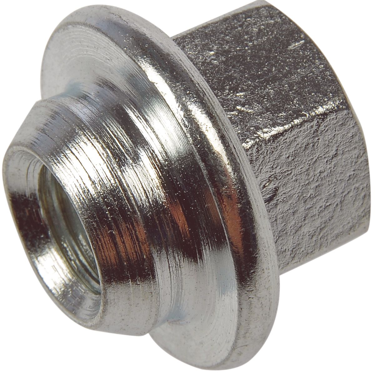 DV_ZoomOriginal_I_99748.jpg
