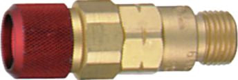 DV_ZoomOriginal_I_CW1410.jpg