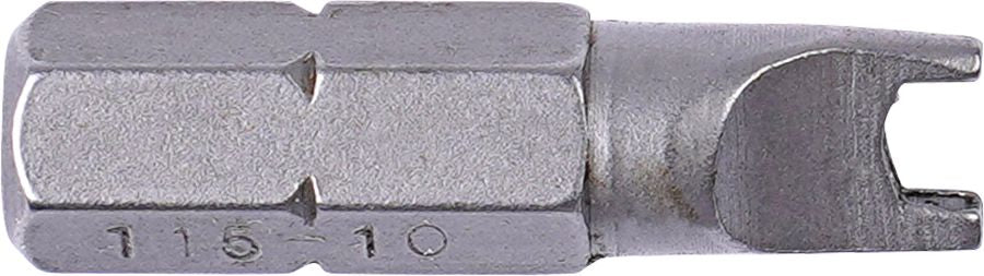 DV_ZoomOriginal_I_DY04332010.jpg