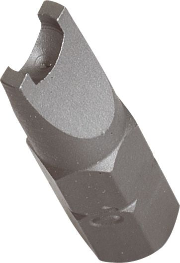 DV_ZoomOriginal_I_FA5565.jpg