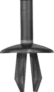 DV_ZoomOriginal_I_KT11159.jpg