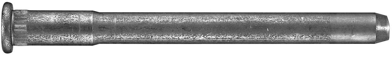 DV_ZoomOriginal_I_KT11165.jpg