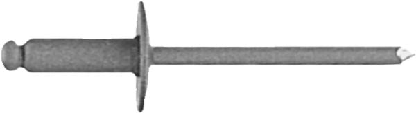 DV_ZoomOriginal_I_KT11169.jpg