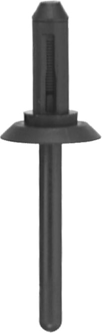 DV_ZoomOriginal_I_KT11173.jpg