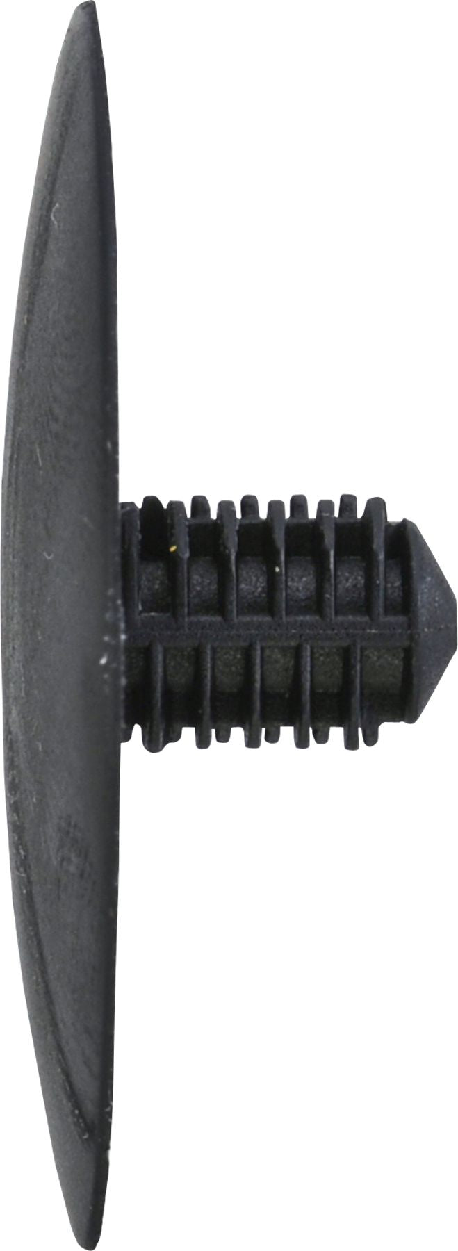 DV_ZoomOriginal_I_KT11176.jpg
