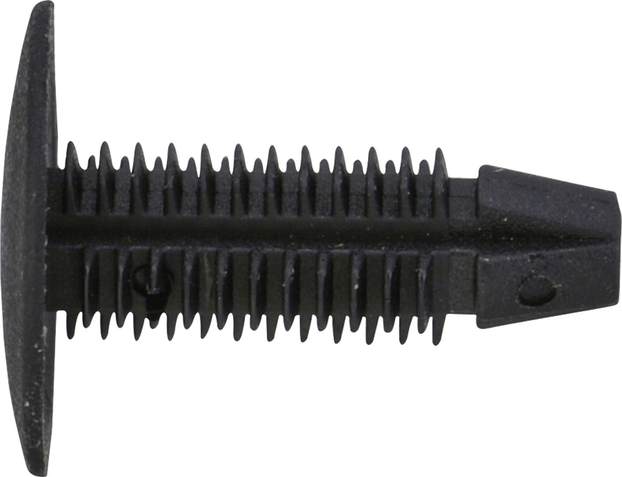 DV_ZoomOriginal_I_KT11270.jpg