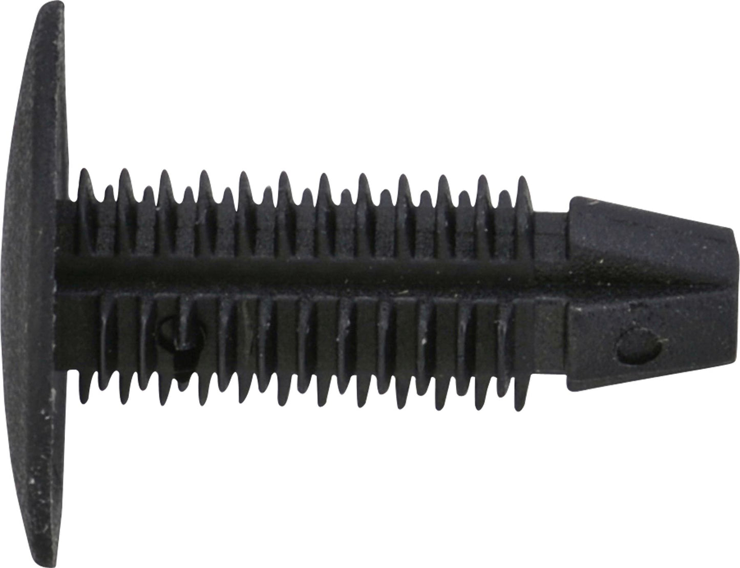 DV_ZoomOriginal_I_KT11270.jpg