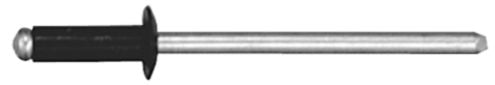 DV_ZoomOriginal_I_KT11319.jpg