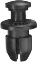 DV_ZoomOriginal_I_KT11320.jpg