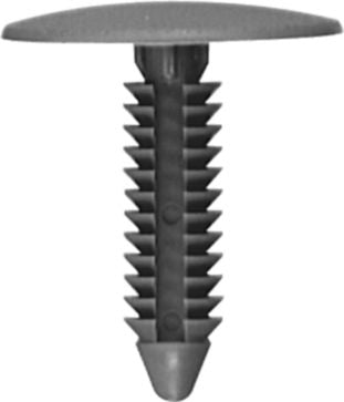 DV_ZoomOriginal_I_KT11329.jpg