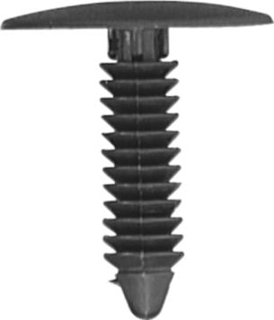 DV_ZoomOriginal_I_KT11330.jpg