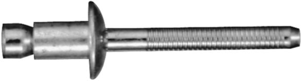 DV_ZoomOriginal_I_KT11363.jpg