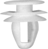 DV_ZoomOriginal_I_KT11369.jpg