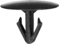 DV_ZoomOriginal_I_KT11371.jpg