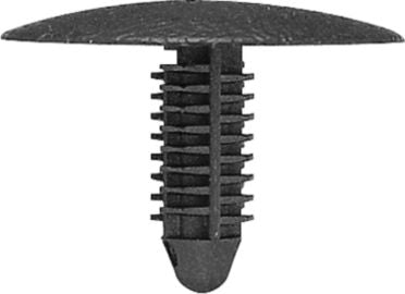 DV_ZoomOriginal_I_KT11379.jpg