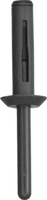 DV_ZoomOriginal_I_KT11380.jpg