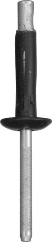 DV_ZoomOriginal_I_KT11382.jpg