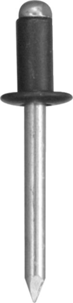 DV_ZoomOriginal_I_KT11383.jpg