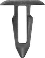 DV_ZoomOriginal_I_KT11415.jpg