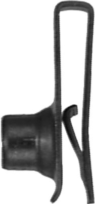 DV_ZoomOriginal_I_KT11436.jpg