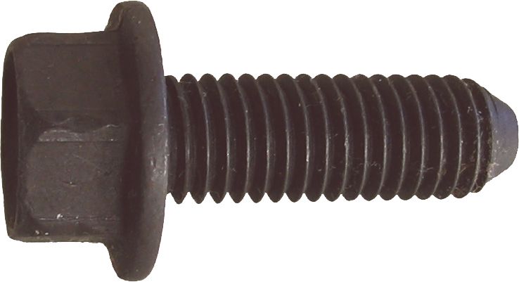 DV_ZoomOriginal_I_KT11451.jpg