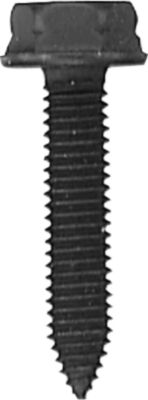 DV_ZoomOriginal_I_KT11508.jpg