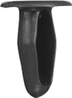 DV_ZoomOriginal_I_KT11557.jpg