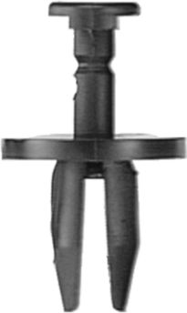DV_ZoomOriginal_I_KT11561.jpg