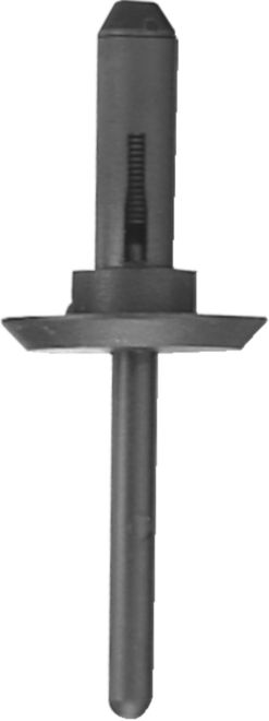 DV_ZoomOriginal_I_KT11587.jpg
