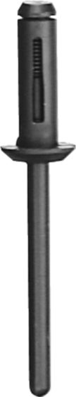 DV_ZoomOriginal_I_KT11588.jpg
