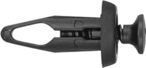 DV_ZoomOriginal_I_KT11710.jpg
