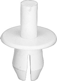 DV_ZoomOriginal_I_KT12334.jpg