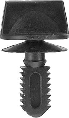 DV_ZoomOriginal_I_KT12339.jpg