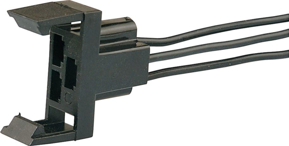 DV_ZoomOriginal_I_KT12377.jpg