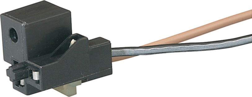 DV_ZoomOriginal_I_KT12385.jpg