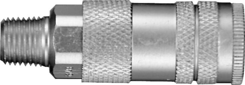 DV_ZoomOriginal_I_KT12643.jpg