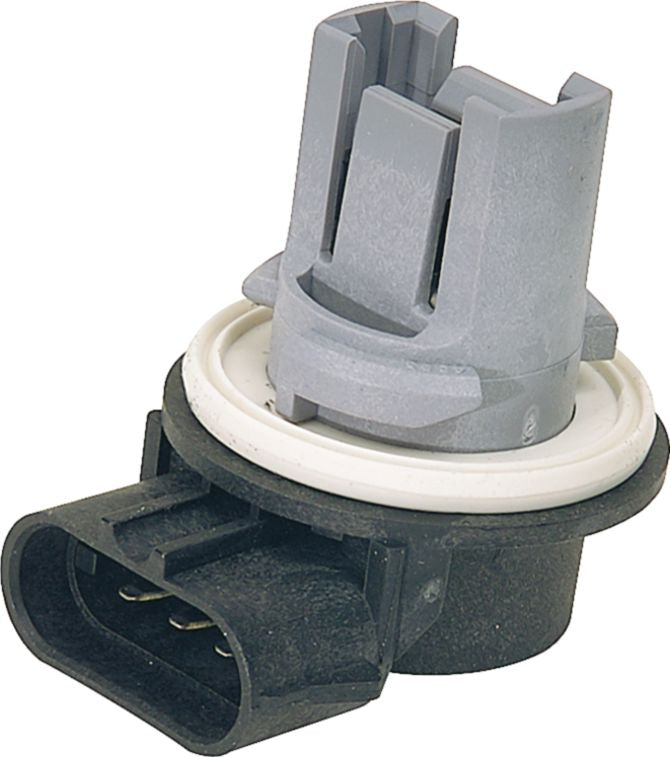 DV_ZoomOriginal_I_KT12659.jpg