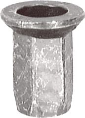 DV_ZoomOriginal_I_KT12680.jpg