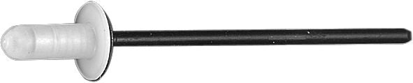 DV_ZoomOriginal_I_KT12807.jpg
