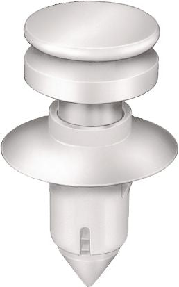 DV_ZoomOriginal_I_KT12849.jpg