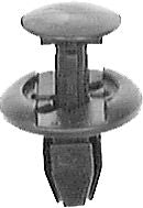 DV_ZoomOriginal_I_KT12852.jpg