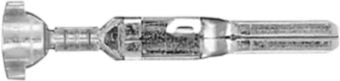 DV_ZoomOriginal_I_KT12891.jpg