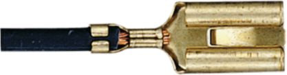 DV_ZoomOriginal_I_KT12902.jpg