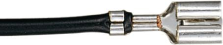 DV_ZoomOriginal_I_KT12936.jpg
