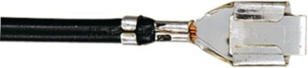 DV_ZoomOriginal_I_KT12945.jpg